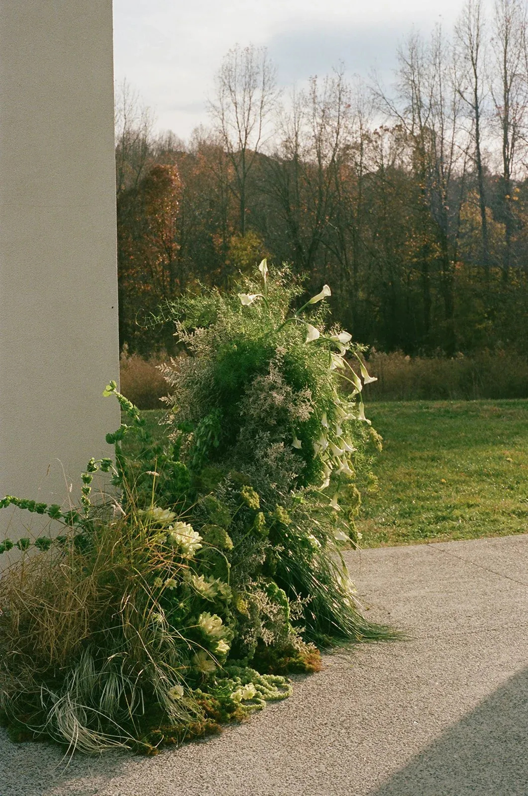 Green and white installation with meadow grasses and calla lilies spilling onto a walkway